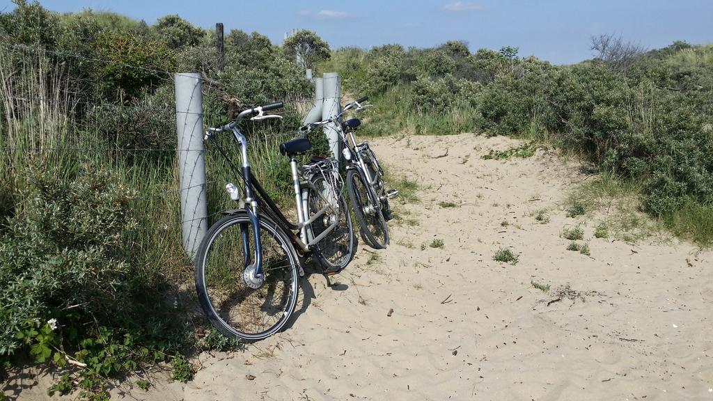 Appartement Bos En Duin Vogelenzang Eksteriør billede